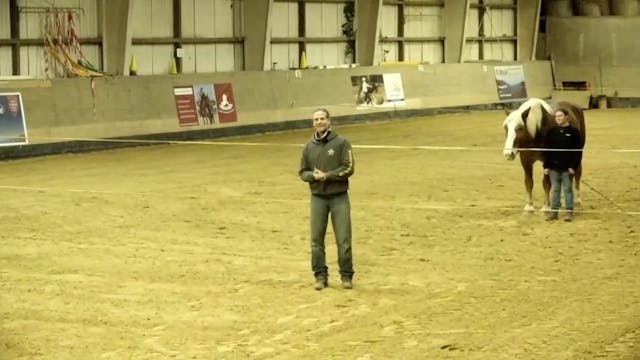 Livestream: Weihnachtsspecial - Echtzeittraining mit Schülern