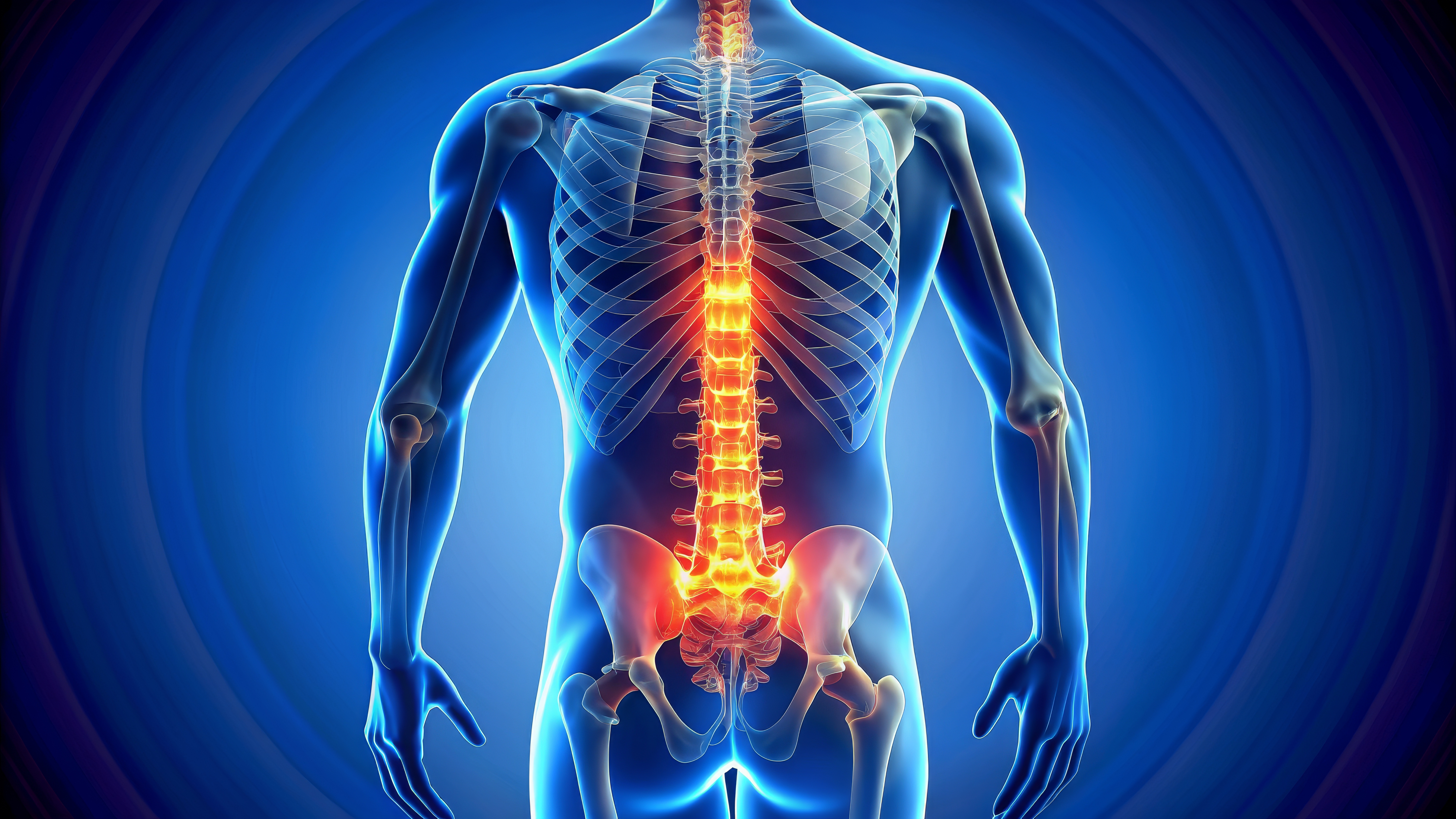 L4 - Lumbar
