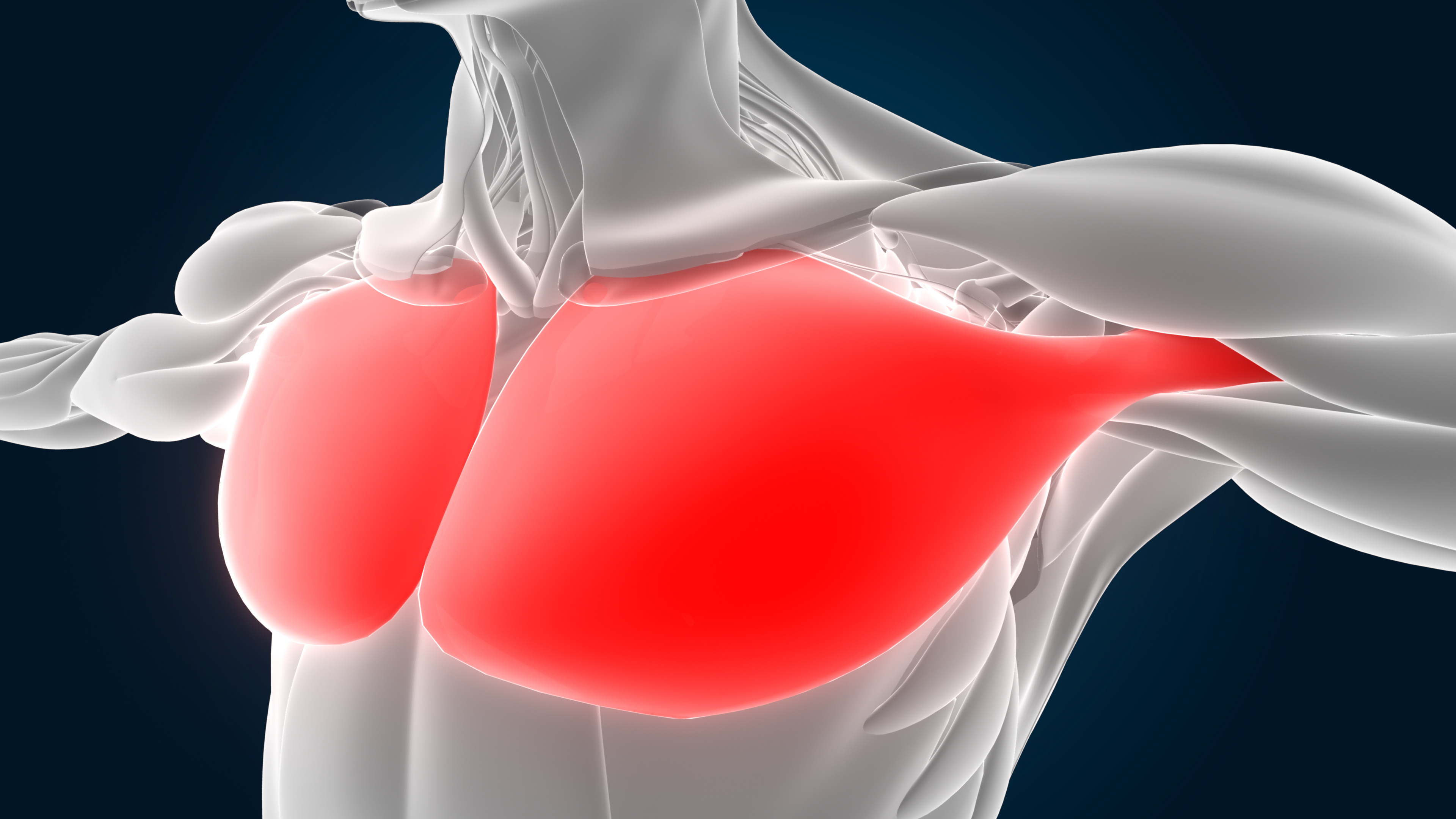 L4 - Thoracic