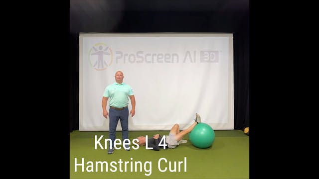 L4 - Knees - Hamstring Curl