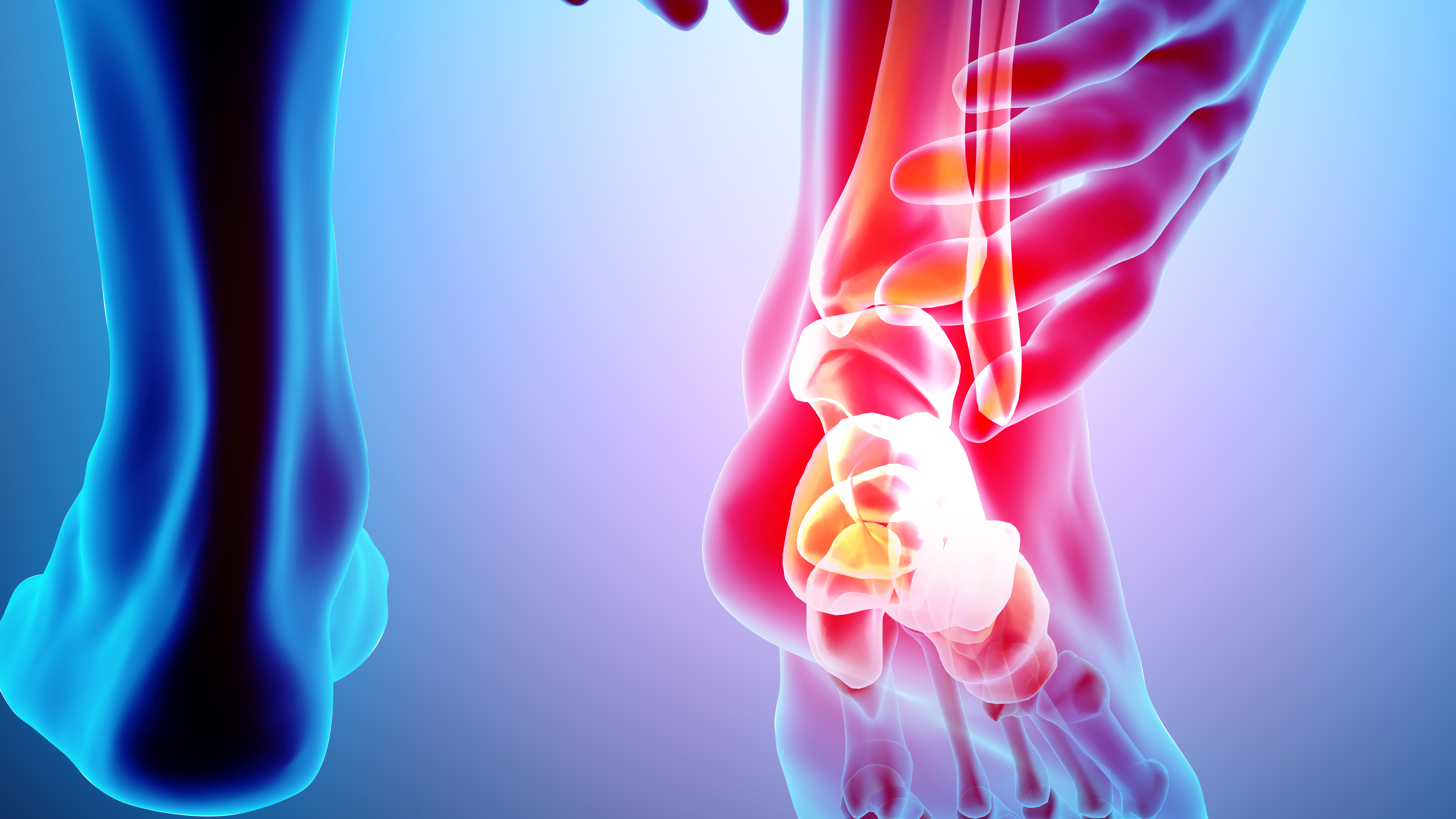L4 - Ankle