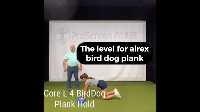 L4 - Core - Bird Dog Plank Hold