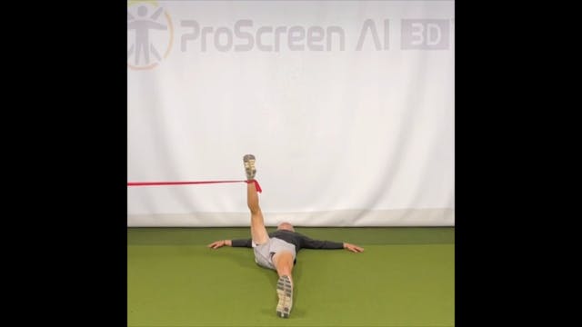 L4 - Lumbar - Lower Single Leg Winshi...