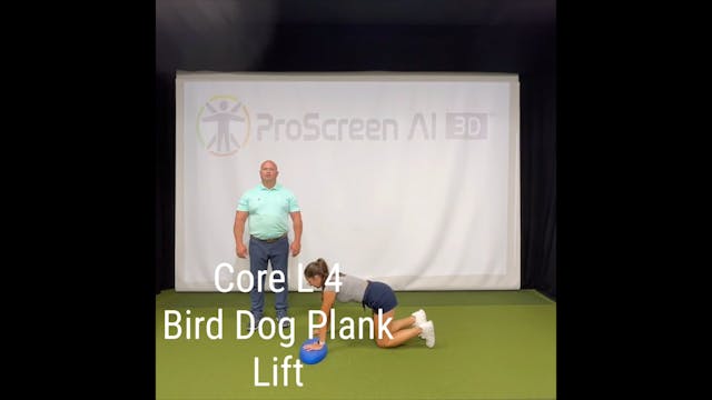 L4 - Core - Bird Dog Plank Lift
