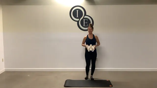 Ext Rotators of the Hip