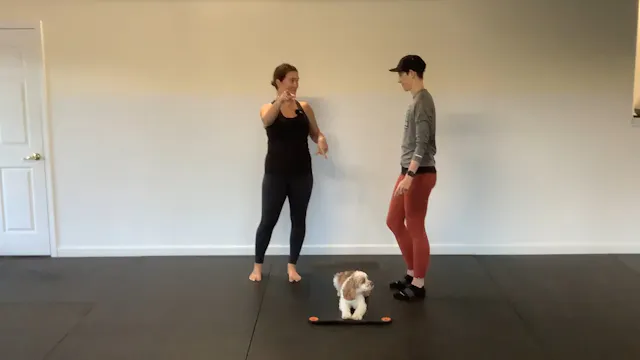 Scapular Mobility