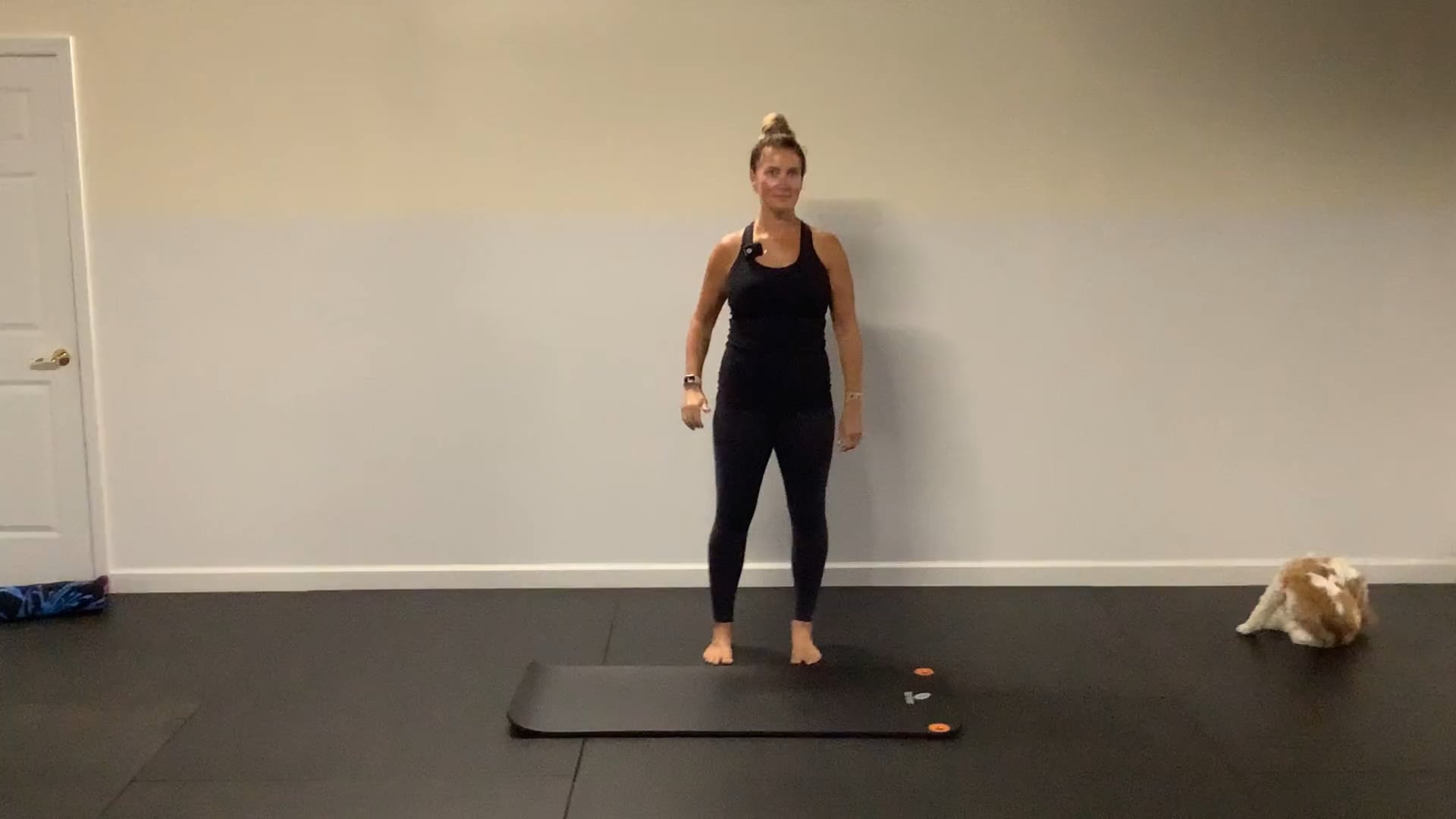 External Obliques - Part 2