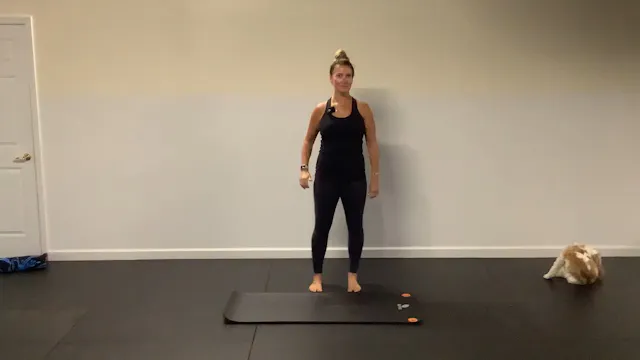 External Obliques - Part 2