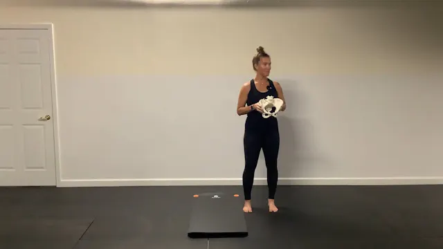MFS Pelvis