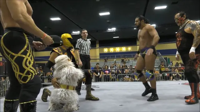 Expo Lucha 2018: Legends of Lucha Libre