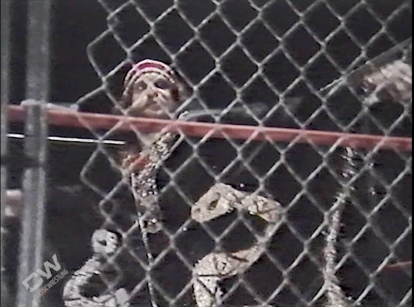 ICW: The Lost Tapes