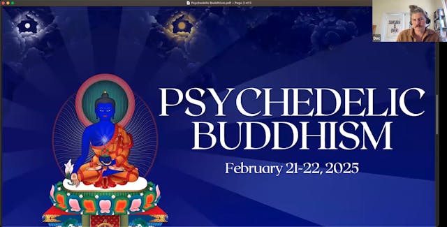 Virtual Panel II: "Psychedelic Buddhism in Context"