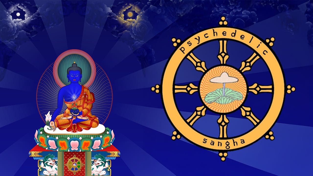 Psychedelic Buddhism 2025