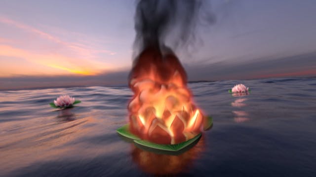 Lotus on Fire