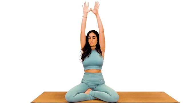 Restorative Yoga | Regulating Nervous System with Rachel Katz