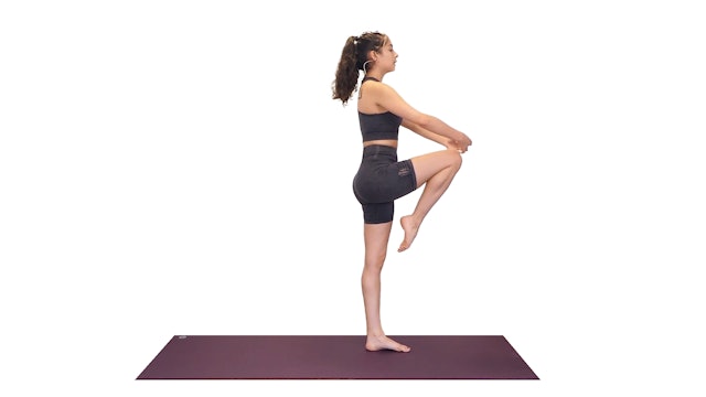 Alex Ballet Body Series | Leg Workout (Beginners)