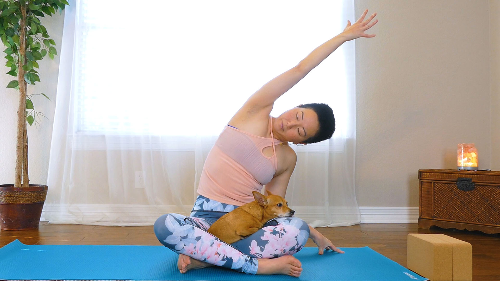 10 Minute Yin Yoga with Side Body Stretches for Quick Relaxation