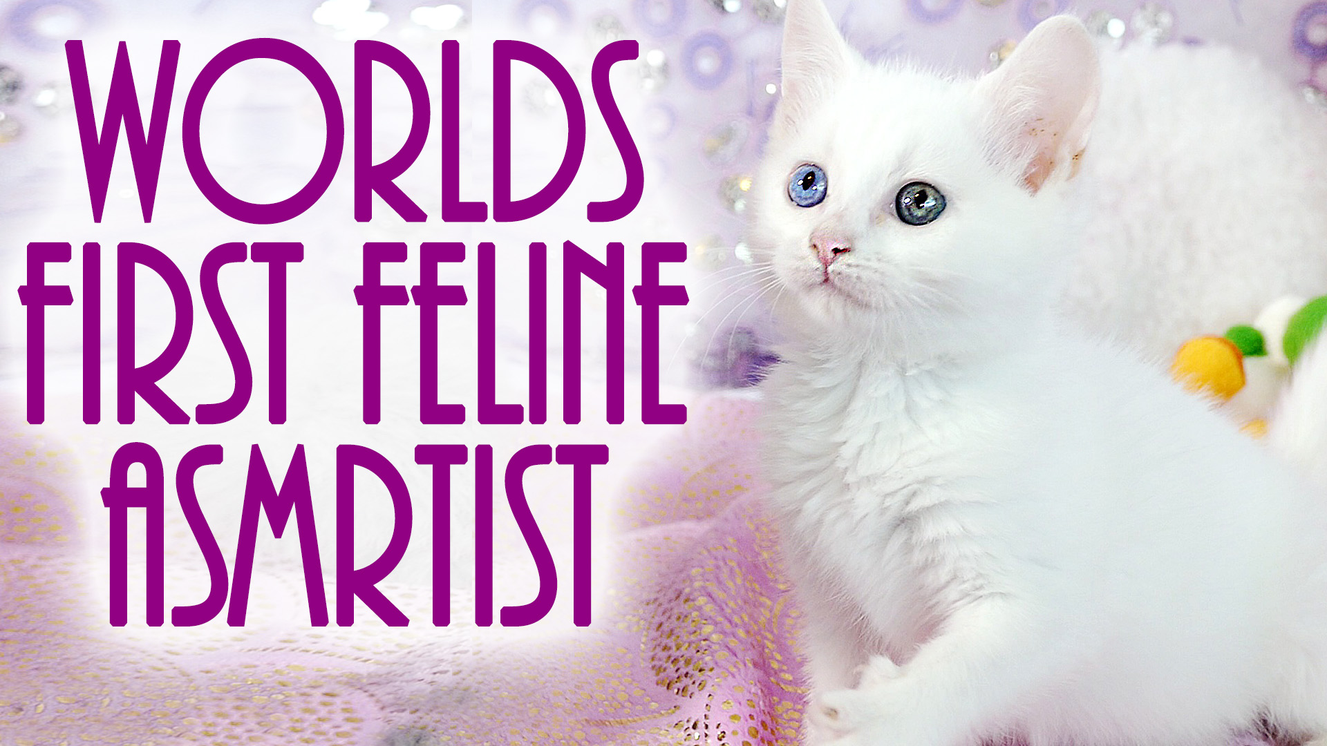 ADORABLE Baby Kitten Scratching & Pawing Tingles!