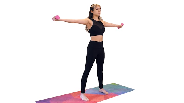 Alex Ballet Body Series | Arms Workout (Advanced)