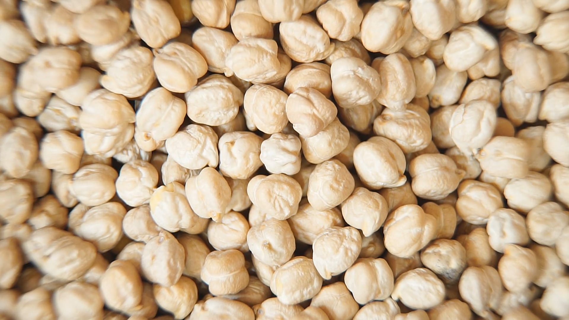 Grain Sounds (No Talking)