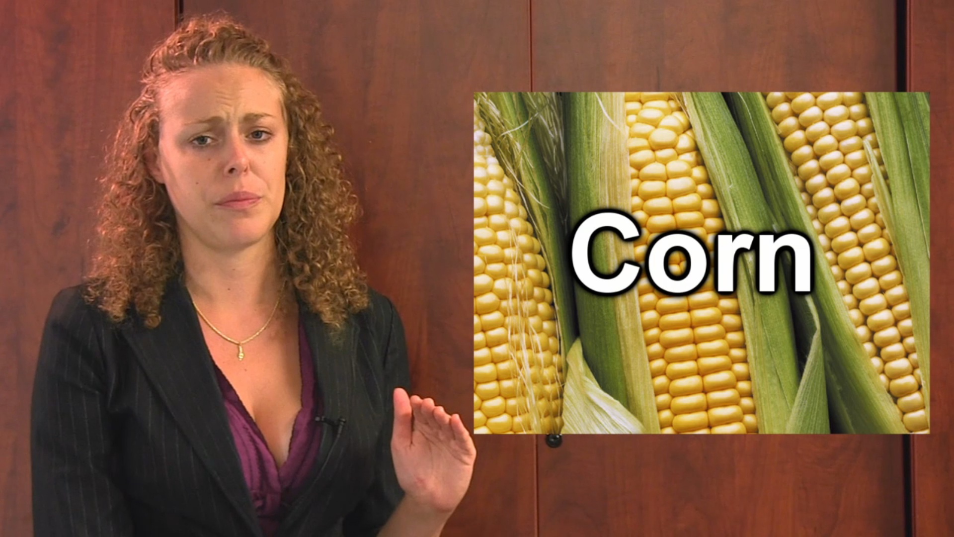 Which Foods Are GMO's?