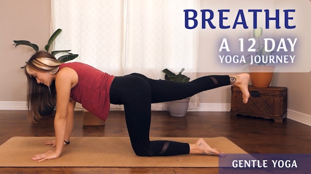 Breathe 12 Day Yoga Journey  | Gentle Relaxing Yoga