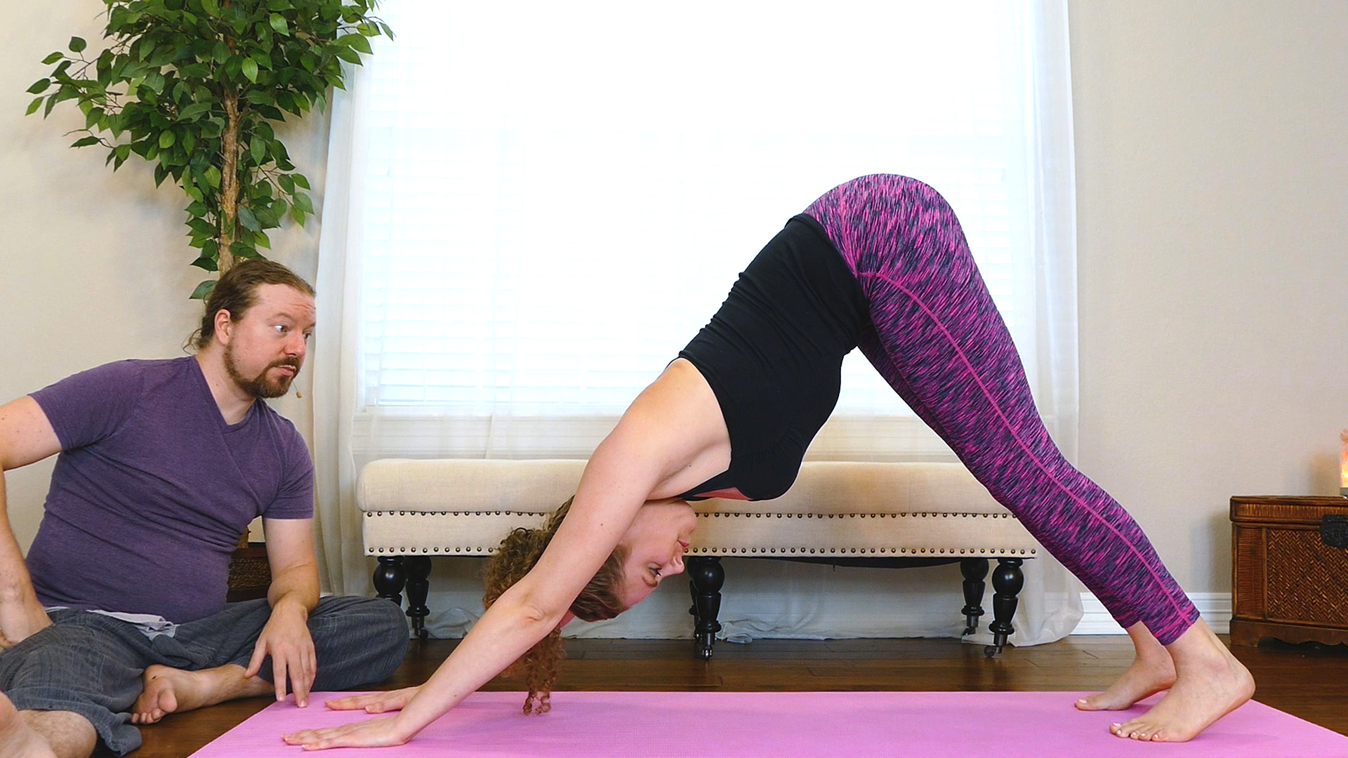Downward-Facing Dog (Adho Mukha Svanasana