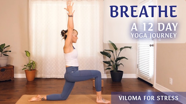 Breathe 12 Day Yoga Journey  | Viloma for Stress