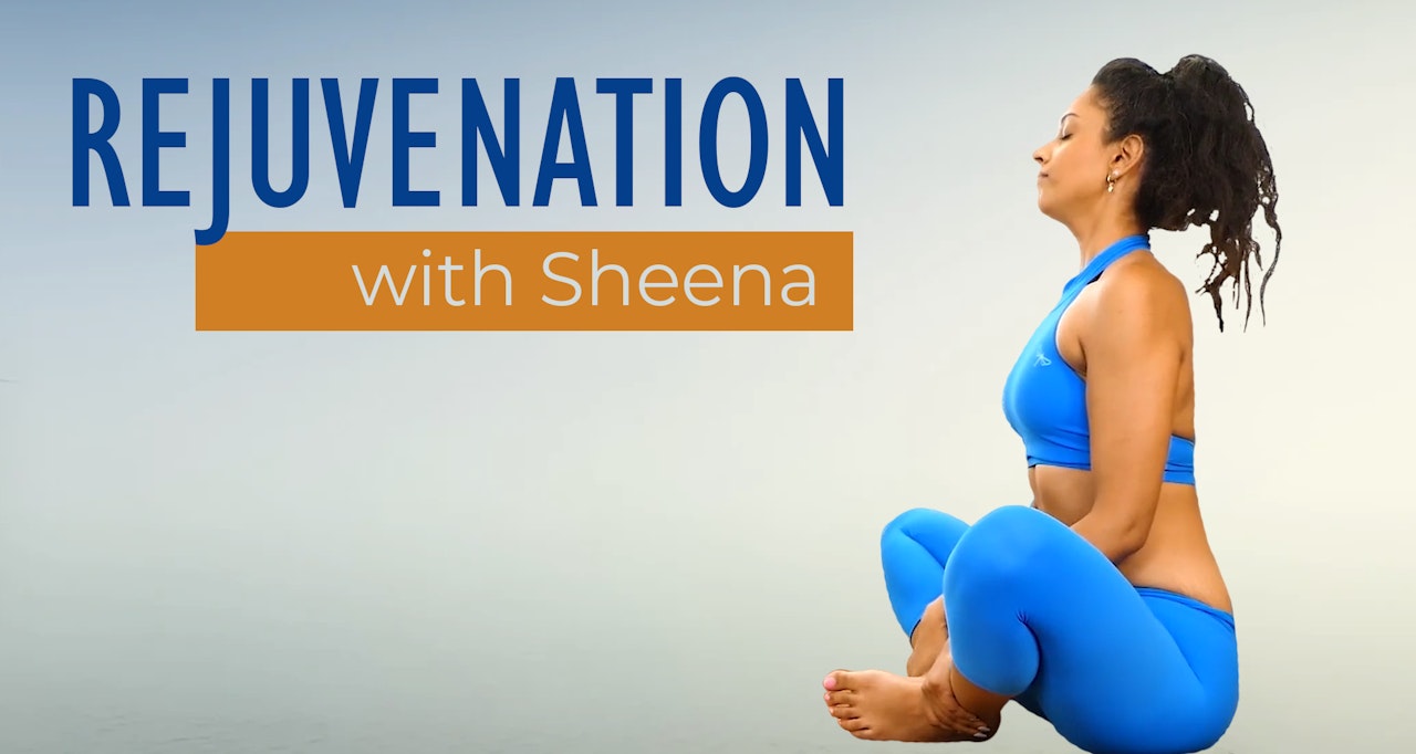 Rejuvenation with Sheena | Yoga Collection