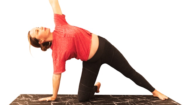 2nd Trimester Prenatal Yoga | Episode 1 (Strength & Flexibility)