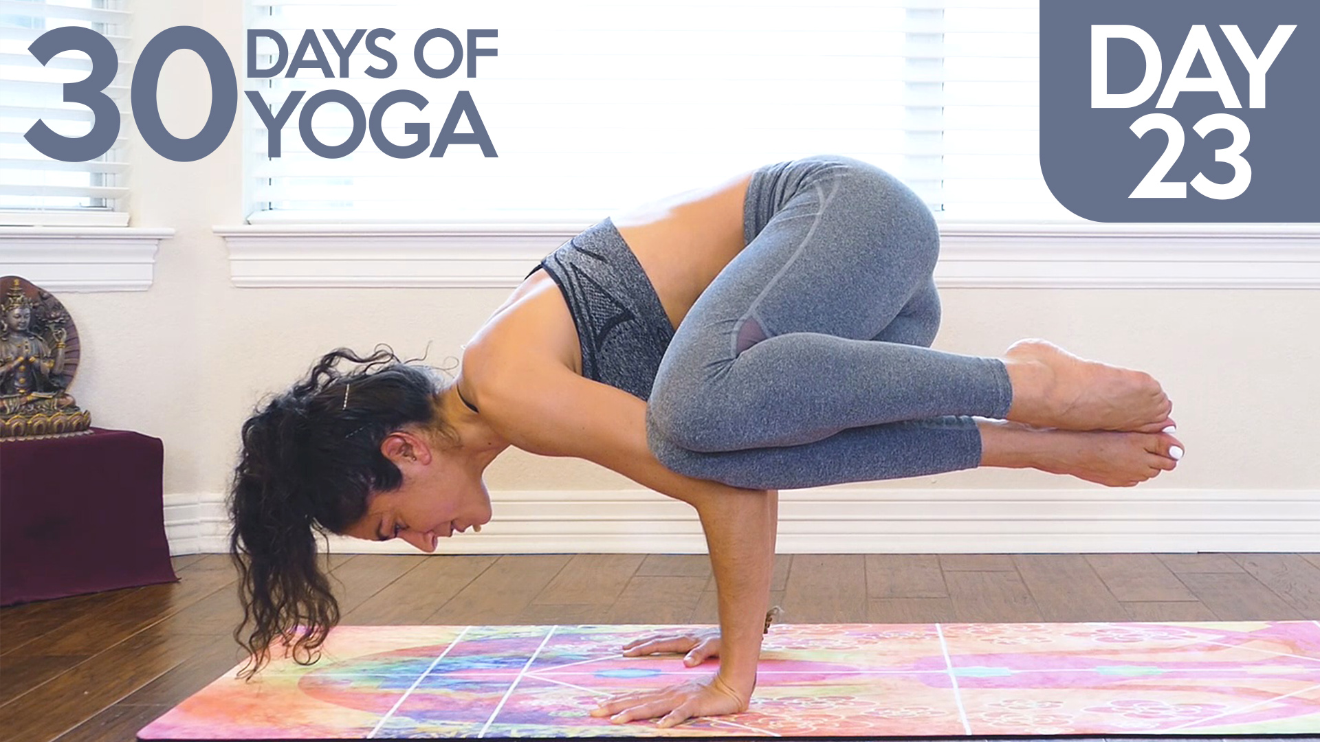 Day 23: Side Crow Pose