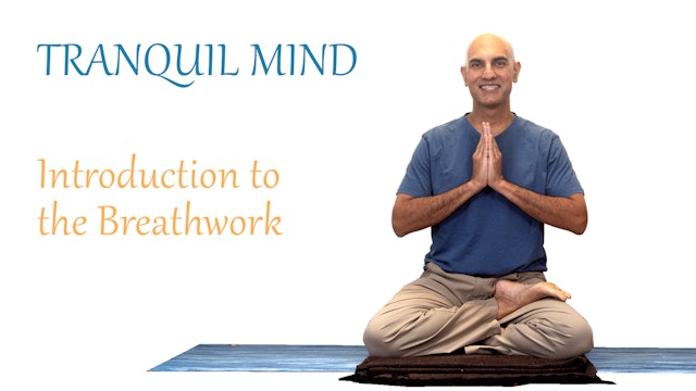 Yoga Tranquil Mind | Introduction to Breathwork