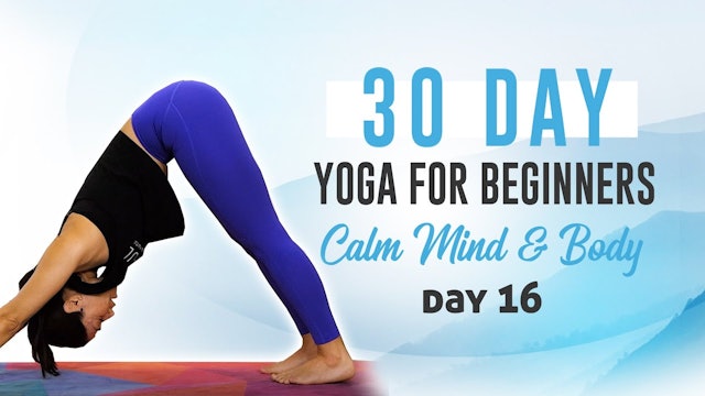 Day 16: Inner Thigh & Hip Flexibility Flow
