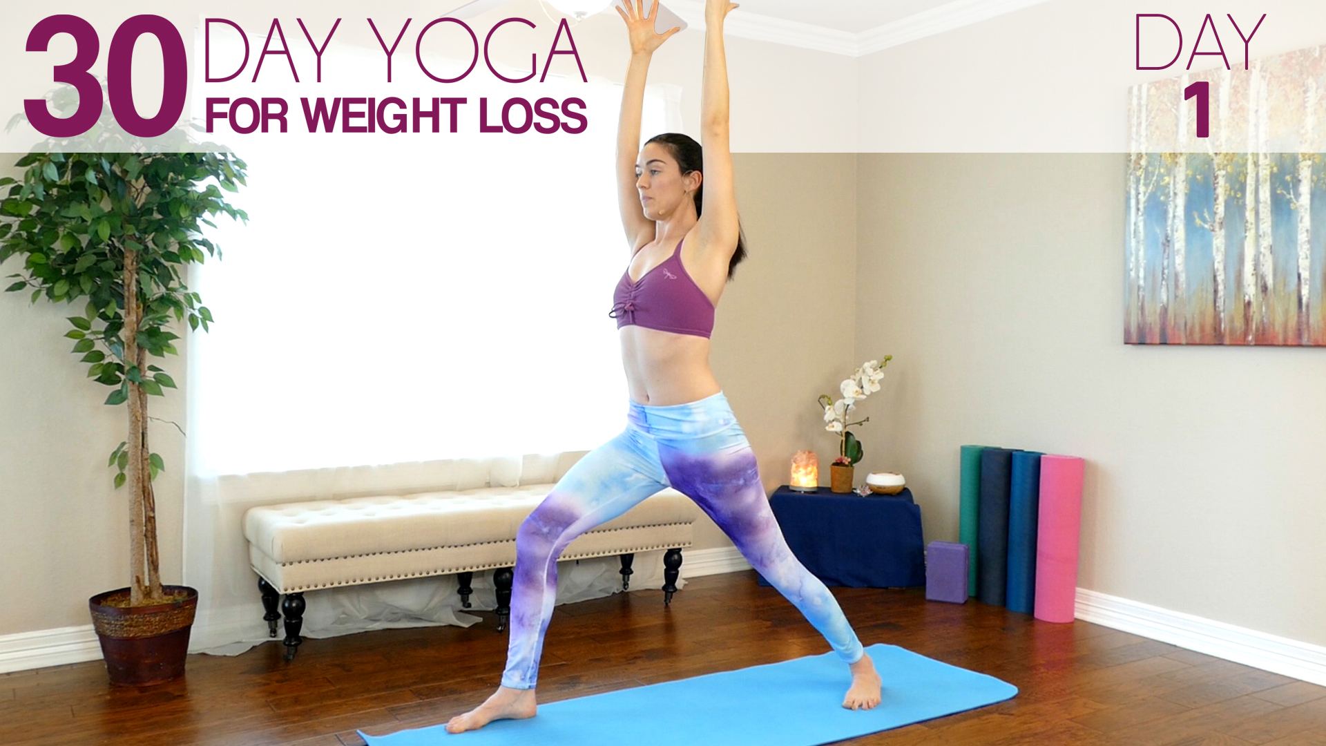 Day 1 - Getting Started