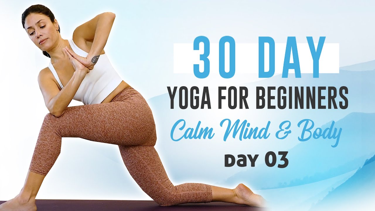 Day 4: Foundations for Upper Body Strength: Chaturanga