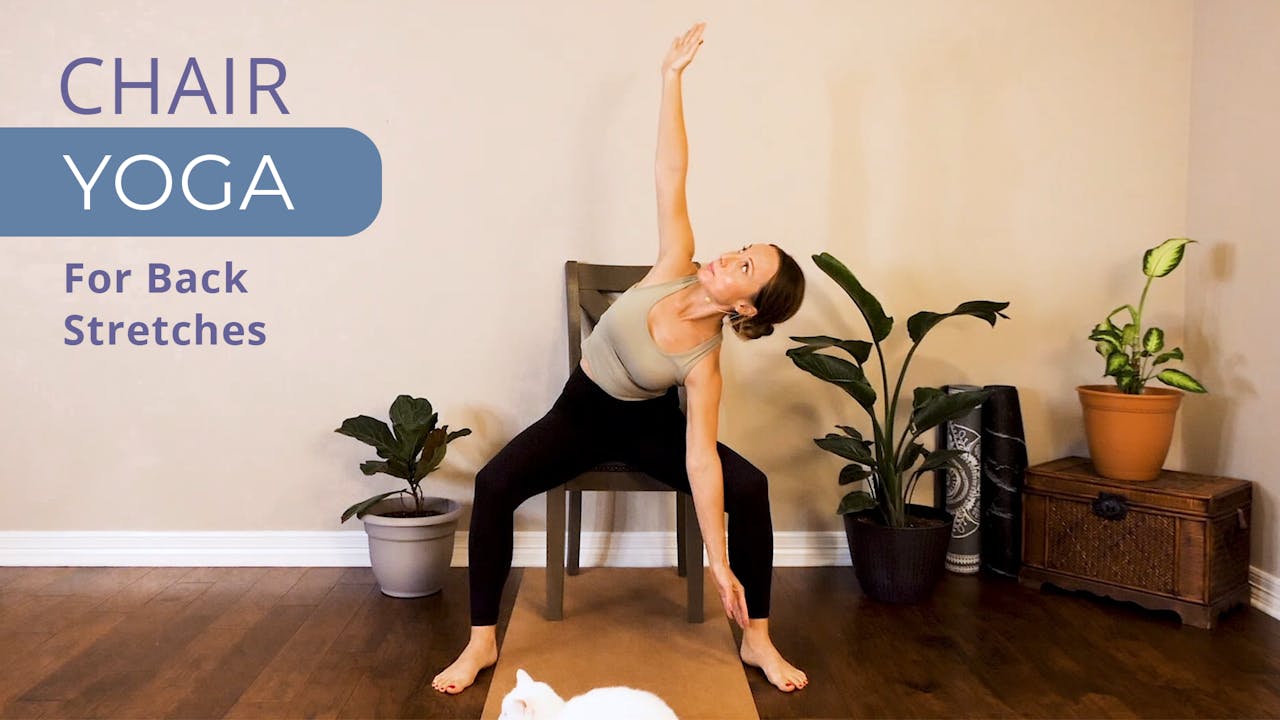 Chair Yoga | Back Stretches - Chair Yoga for Seniors | with Tessa ...