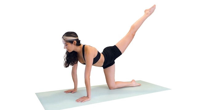 Alex Ballet Body Series | Tone Glute Workout (Beginners)