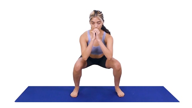 Alex Ballet Body Series | Full Body Workout (Beginners)