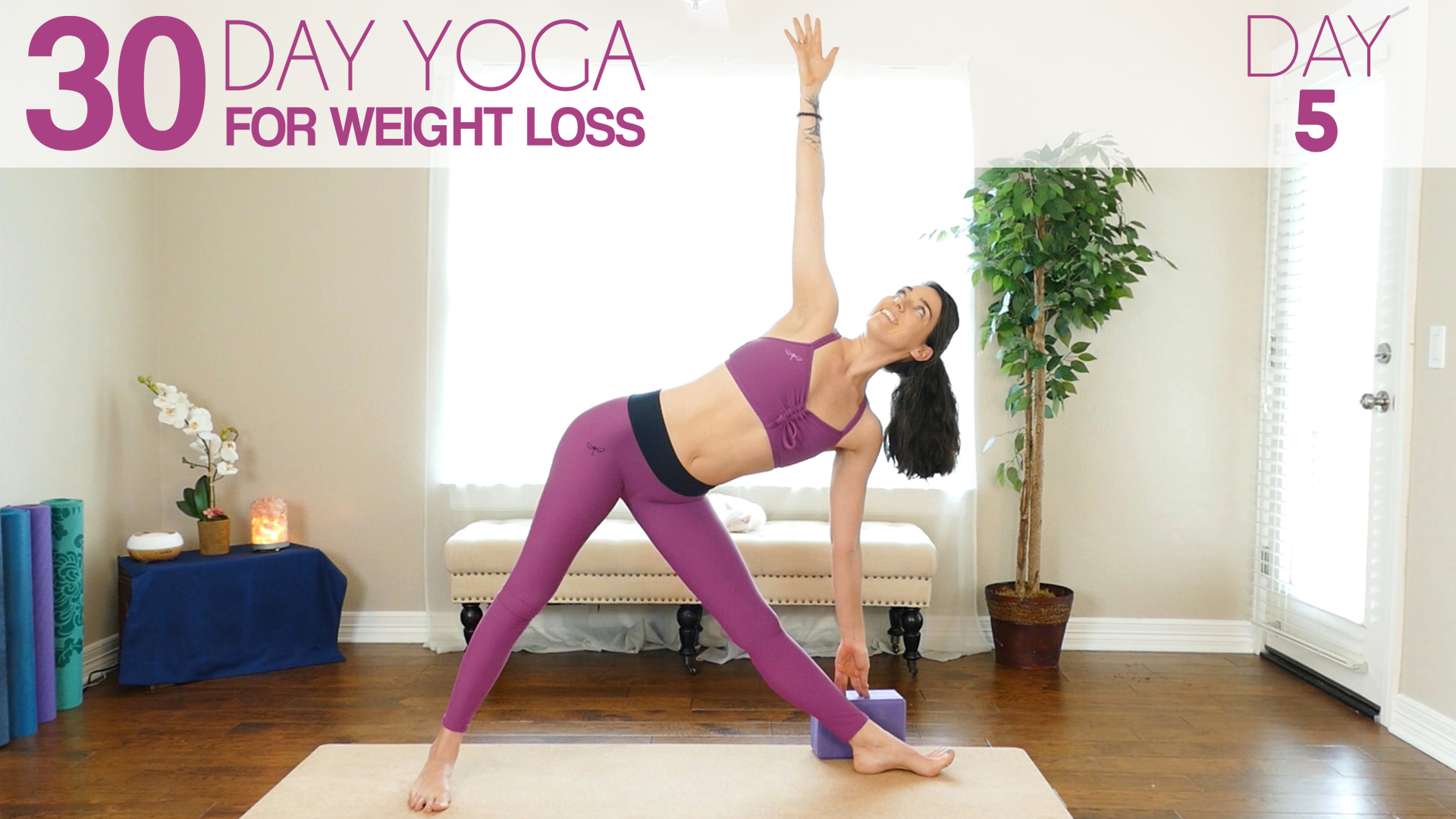 Day 5 - Energy & Motivation