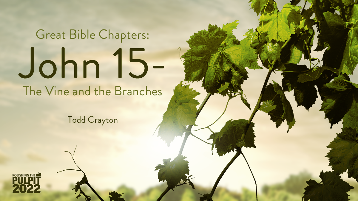 Great Bible Chapters: John 15-The Vine and the Branches | Todd Crayton