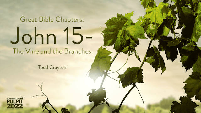 Great Bible Chapters: John 15-The Vin...