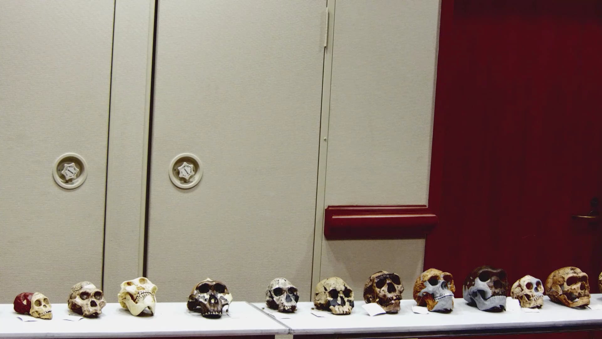 Jeff Miller: "Ancient' Man" Does the Fossil Record Support the Evolution of Man?