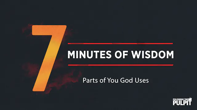 Seven Minutes of Wisdom: Parts of You...