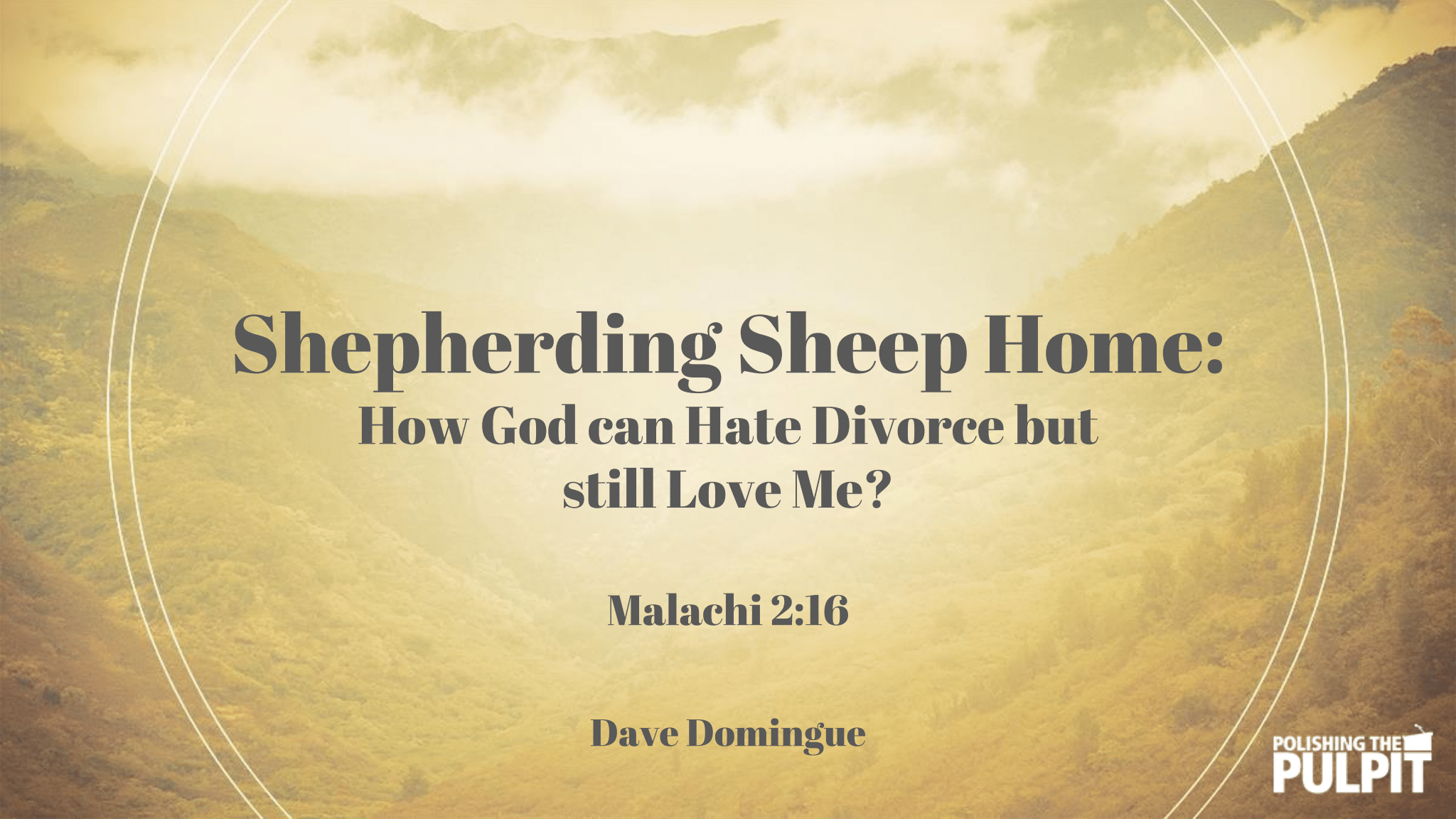 Shepherding Sheep Home | Dave Domingue