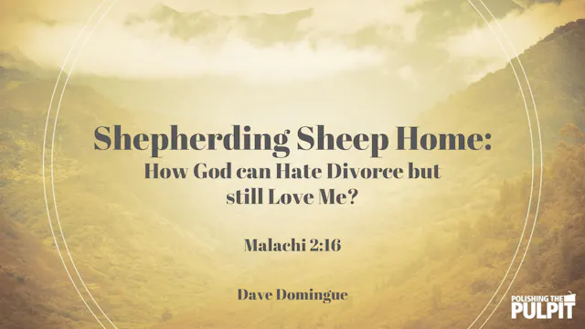 Shepherding Sheep Home | Dave Domingue