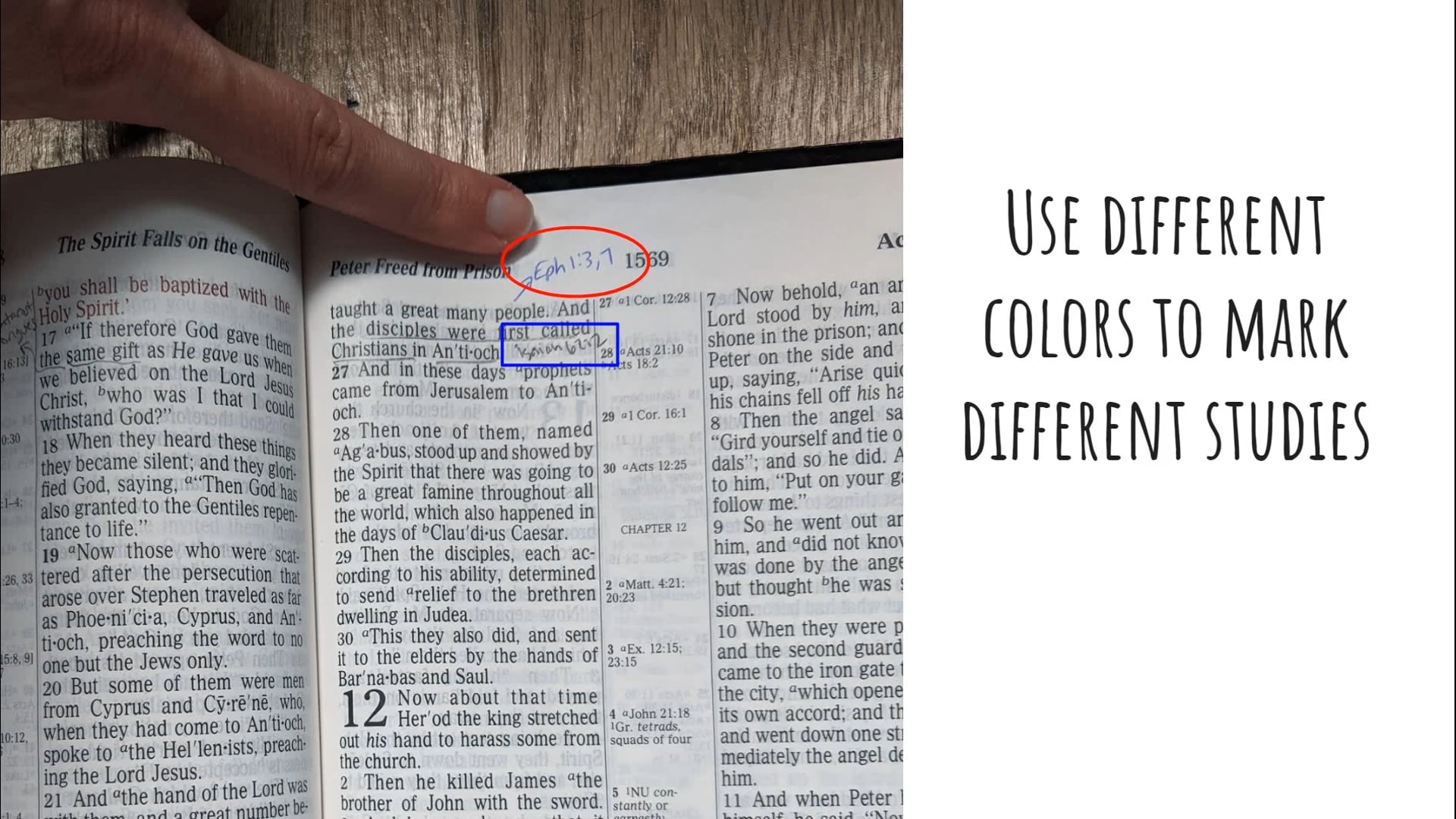 Gina Simpson: Bible Marking (Class for 9-year-old kids)