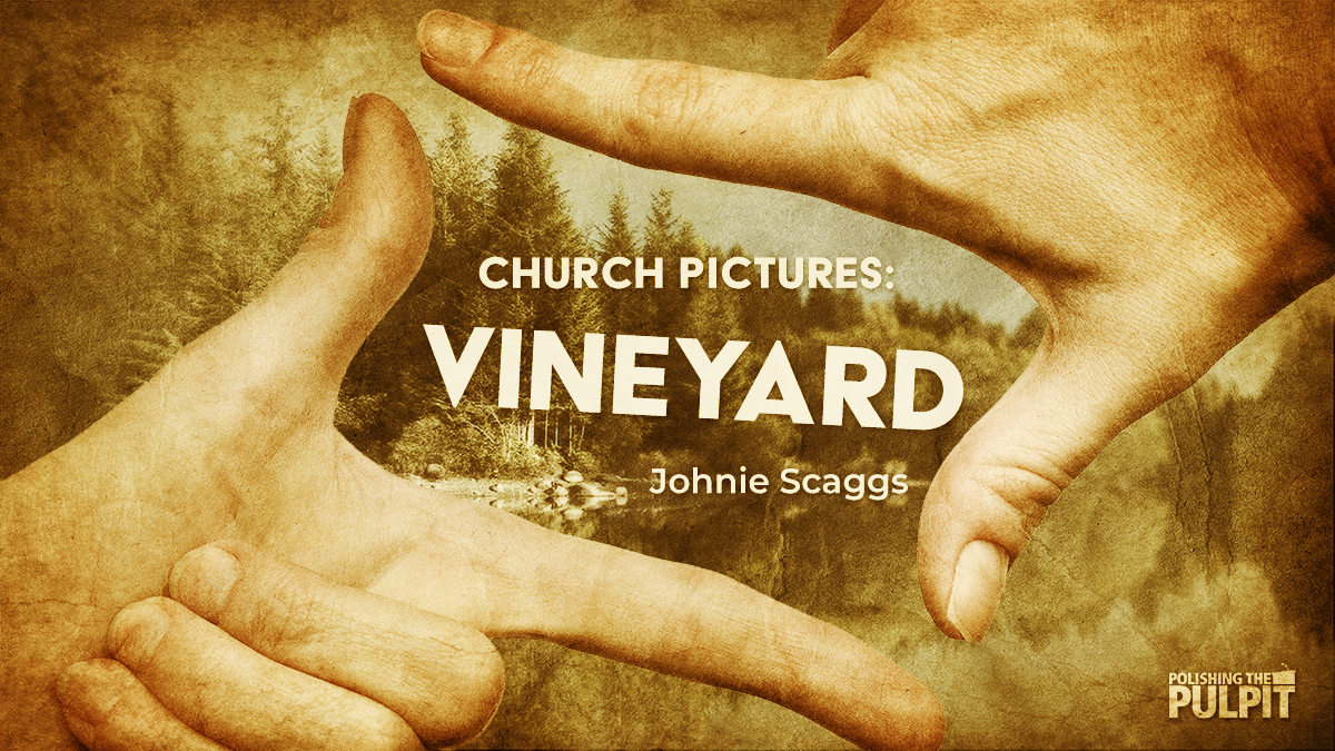 Church Pictures: Vineyard | Johnie Scaggs