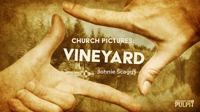 Church Pictures: Vineyard | Johnie Sc...