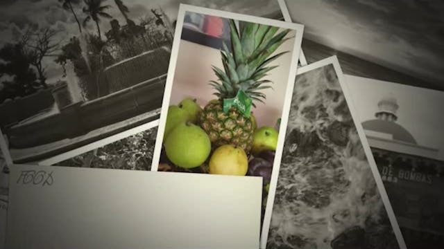 Carmen Jarvis: Mission Fair: Puerto Rico