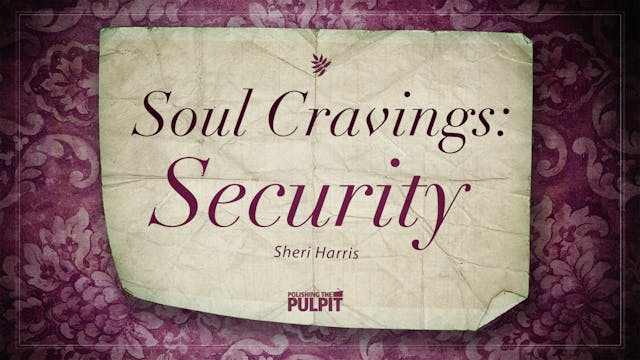 Soul Cravings: Security | Sheri Harris